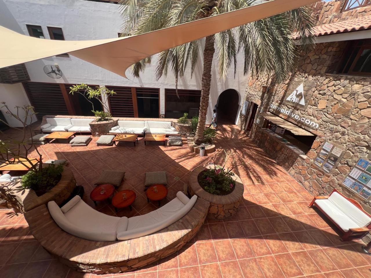 Camel Dive Club & Hotel - Boutique Hotel Шарм ел-Шейх Екстериор снимка
